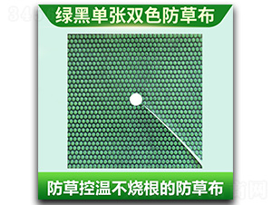 綠黑單張雙色防草布-威駿科技