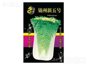 白菜種子-錦州新五號-科星