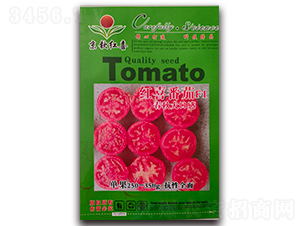 紅喜番茄F1-西紅柿種子-京欽紅喜