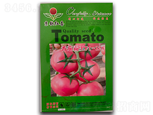 番茄霸王F1-128-西紅柿種子-京欽紅喜