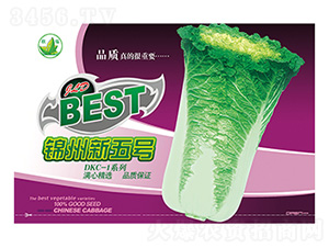 白菜種子-錦州新五號新包裝-科星